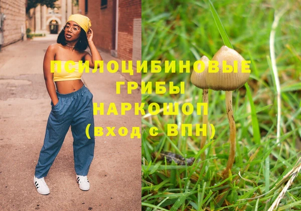 гидра Лабытнанги