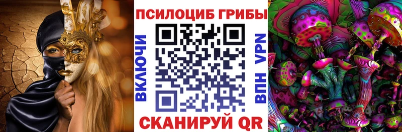 Галлюциногенные грибы Cubensis  где продают   blacksprut вход  Архангельск 